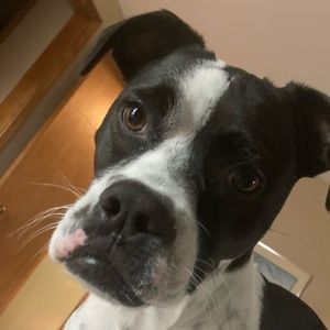 Meet your Posher, Joanne